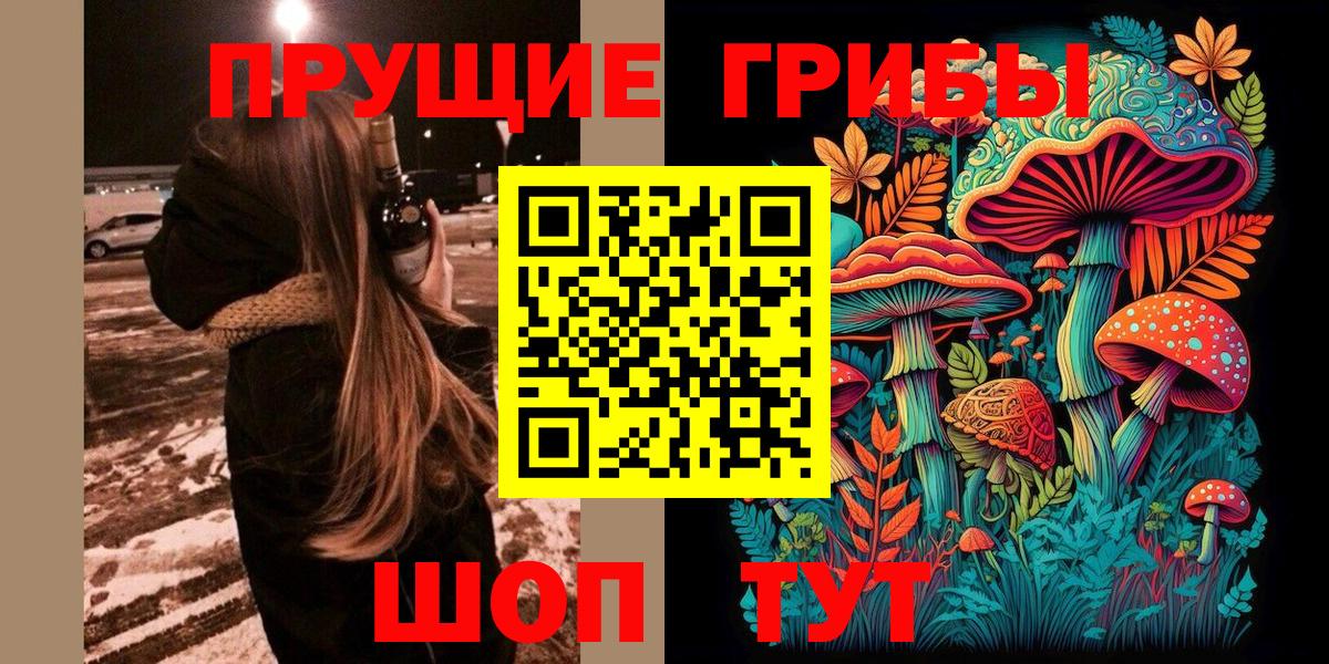 Псилоцибиновые грибы прущие грибы Соликамск