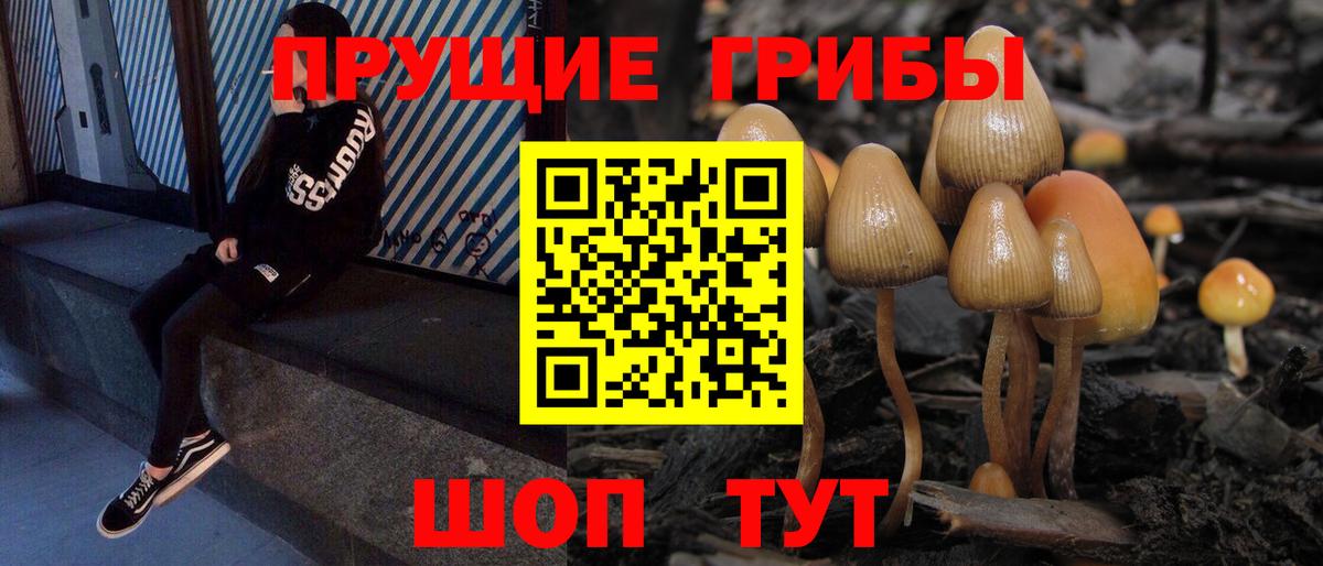 Соликамск  Галлюциногенные грибы Psilocybine cubensis  Вход с VPN 